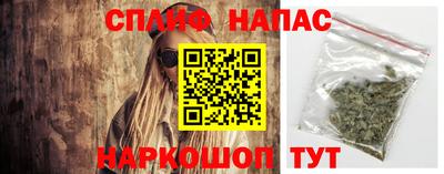 мяу мяу мука Тара