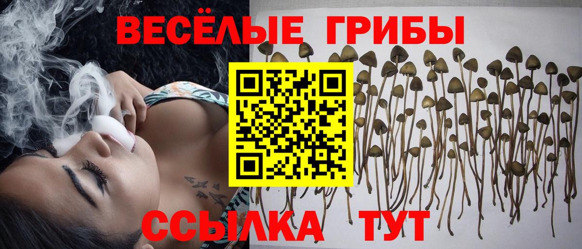 закладка  Галлюциногенные грибы Magic Shrooms  Вход с VPN  Нижнекамск 